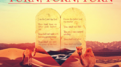 Turn Turn Turn artwork